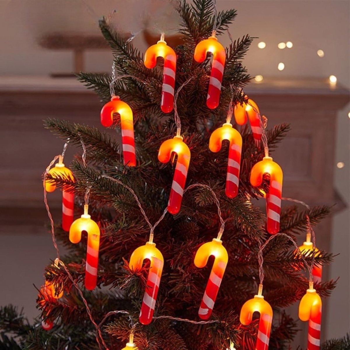 Candy Cane String Lights - Memories Insite